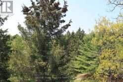 52-305 - 1235 DEERHURST DRIVE | Huntsville Ontario | Slide Image Twelve