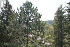 52-305 - 1235 DEERHURST DRIVE | Huntsville Ontario | Slide Image Three