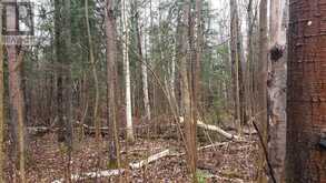 6125 SECOND CONCESSION ROAD | Stayner Ontario | Slide Image Four