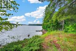 418 WHITESTONE LK ROAD | Carling Ontario | Slide Image Seven