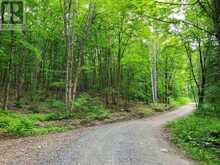 0 BUCKSLIDE ROAD | Haliburton Ontario | Slide Image Three