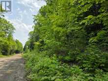 0 BUCKSLIDE ROAD | Haliburton Ontario | Slide Image Four