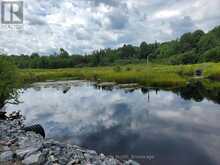 0 BUCKSLIDE ROAD | Haliburton Ontario | Slide Image Five