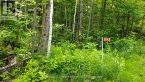 1963 LOT 52 TINY BEACHES ROAD N | Tiny Ontario | Slide Image Four