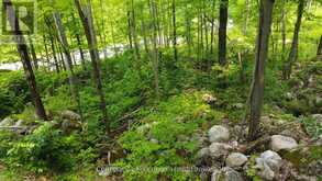1963 LOT 52 TINY BEACHES ROAD N | Tiny Ontario | Slide Image Seven
