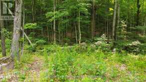 1963 LOT 52 TINY BEACHES ROAD N | Tiny Ontario | Slide Image Eight