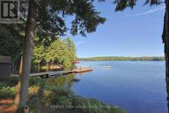 1365 DICKIE LAKE ROAD | Baysville Ontario | Slide Image Ten