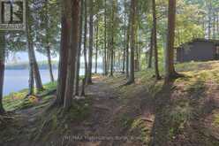 1365 DICKIE LAKE ROAD | Baysville Ontario | Slide Image Twelve