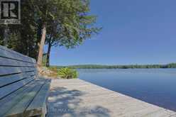 1365 DICKIE LAKE ROAD | Baysville Ontario | Slide Image Thirteen