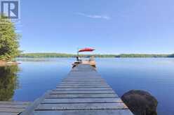 1365 DICKIE LAKE ROAD | Baysville Ontario | Slide Image One