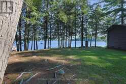 1365 DICKIE LAKE ROAD | Baysville Ontario | Slide Image Thirty