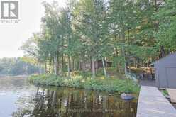 1365 DICKIE LAKE ROAD | Baysville Ontario | Slide Image Thirty-one