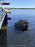 1365 DICKIE LAKE ROAD | Baysville Ontario | Slide Image Thirty-four