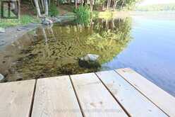1365 DICKIE LAKE ROAD | Baysville Ontario | Slide Image Eight