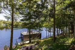 22-26 TAYLOR ISLAND | Gravenhurst Ontario | Slide Image Forty-five