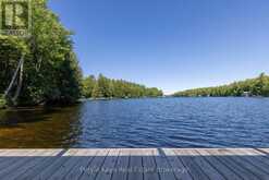 22-26 TAYLOR ISLAND | Gravenhurst Ontario | Slide Image Forty-seven