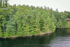0 MUSKOKA LAKE | Bala Ontario | Slide Image Fifteen