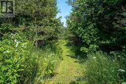 174745 MULOCK ROAD | West Grey Ontario | Slide Image Thirty-eight