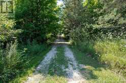 174745 MULOCK ROAD | West Grey Ontario | Slide Image Three