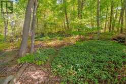 1 MAPLECREST COURT | Huntsville Ontario | Slide Image Forty