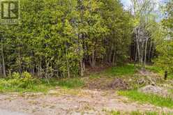 135220 CONCESSION ROAD 8 ROAD | Chatsworth Ontario | Slide Image Twenty-eight