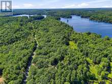 1433 BUCKSLIDE ROAD | Haliburton Ontario | Slide Image Forty-one