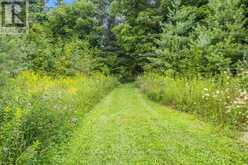 467027 12TH CONCESSION B | Flesherton Ontario | Slide Image Thirteen