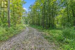 PT LT 4 CONCESSION ROAD 8 | Markdale Ontario | Slide Image One