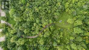 PT LT 4 CONCESSION ROAD 8 | Markdale Ontario | Slide Image Three