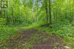 PT LT 4 CONCESSION ROAD 8 | Markdale Ontario | Slide Image Four