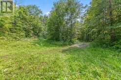 PT LT 4 CONCESSION ROAD 8 | Markdale Ontario | Slide Image Six