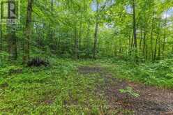 PT LT 4 CONCESSION ROAD 8 | Markdale Ontario | Slide Image Seven