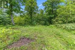 PT LT 4 CONCESSION ROAD 8 | Markdale Ontario | Slide Image Eight
