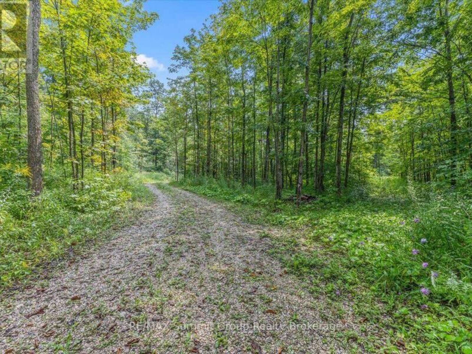 PT LT 4 CONCESSION ROAD 8, Markdale, Ontario N0C 1H0