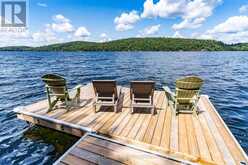 14170 KAWAGAMA LONG ISLAND | Lake of Bays Ontario | Slide Image Ten