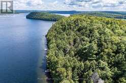 14170 KAWAGAMA LONG ISLAND | Lake of Bays Ontario | Slide Image Thirty-nine