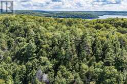 14170 KAWAGAMA LONG ISLAND | Lake of Bays Ontario | Slide Image Forty-one