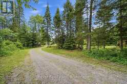 1100 MORNING GLORY DRIVE | Highlands East Ontario | Slide Image Three