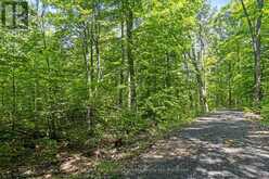 38 FUN COTTAGE LANE | McDougall Ontario | Slide Image Ten