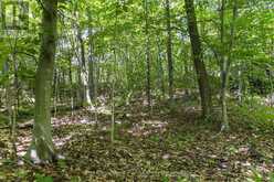 38 FUN COTTAGE LANE | McDougall Ontario | Slide Image Thirteen
