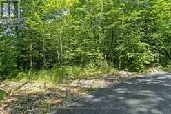 38 FUN COTTAGE LANE | McDougall Ontario | Slide Image Seven