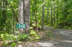 38 FUN COTTAGE LANE | McDougall Ontario | Slide Image Eight