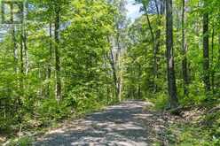 38 FUN COTTAGE LANE | McDougall Ontario | Slide Image Nine