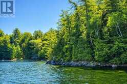 183 MCLAREN (B704) ISLAND | The Archipelago Ontario | Slide Image One