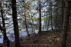 183 MCLAREN (B704) ISLAND | The Archipelago Ontario | Slide Image Three
