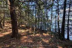 183 MCLAREN (B704) ISLAND | The Archipelago Ontario | Slide Image Six