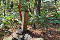 183 MCLAREN (B704) ISLAND | The Archipelago Ontario | Slide Image Nine