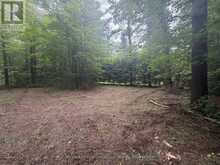 PT LOT 4, CON 6 6TH LINE | The Blue Mountains Ontario | Slide Image Four