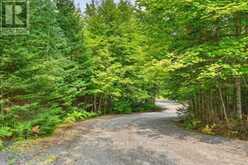 1039 SOUTH WASEOSA LAKE ROAD | Huntsville Ontario | Slide Image Thirty-six