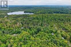 1039 SOUTH WASEOSA LAKE ROAD | Huntsville Ontario | Slide Image Forty-three
